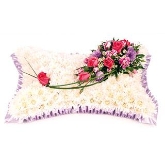 Cushions & Specialist